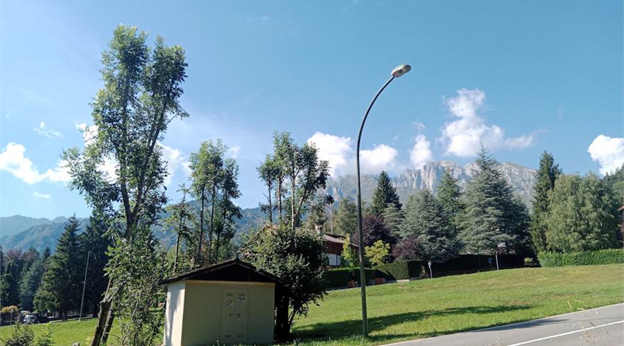Photo 25