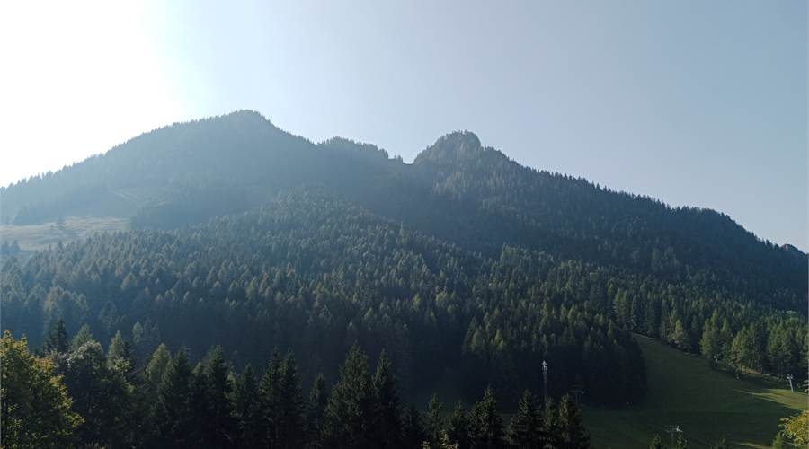 Photo 30